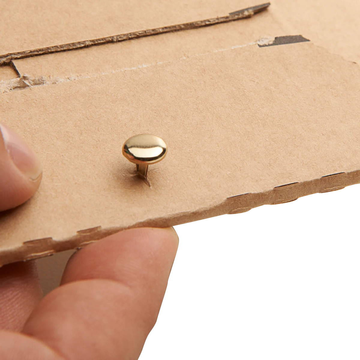 Serienabbildung zur Bauform PP W01.K1 von progress packaging