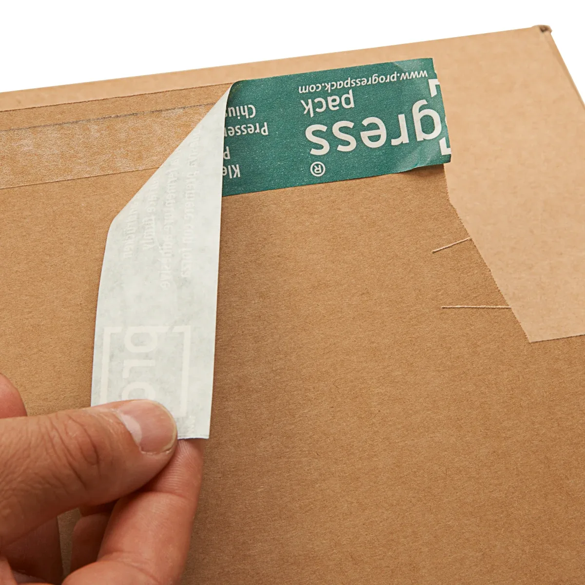 Serienabbildung zur Bauform PB K10.01-1 von progress packaging