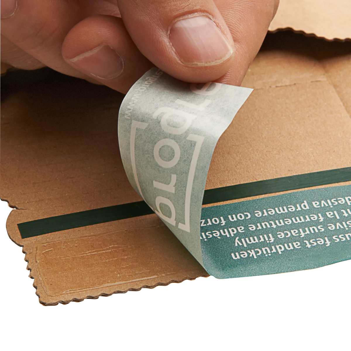 Serienabbildung zur Bauform PP V04.01 von progress packaging