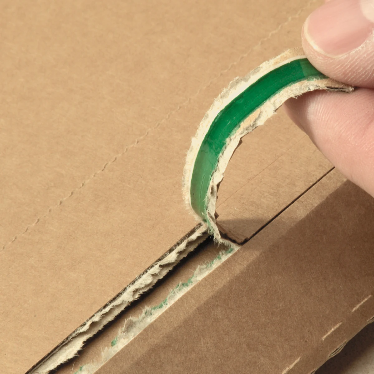 Serienabbildung zur Bauform PP K14.03 von progress packaging