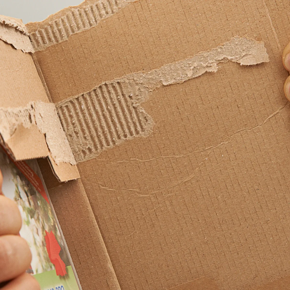 Serienabbildung zur Bauform PP K05.02 von progress packaging
