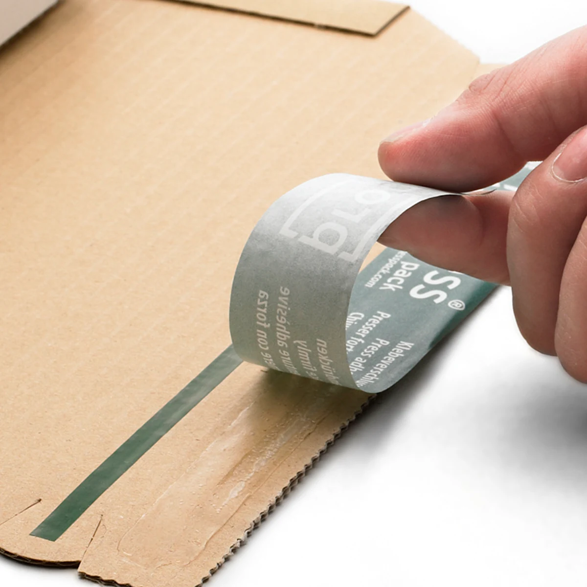 Serienabbildung zur Bauform PP B03.01 von progress packaging