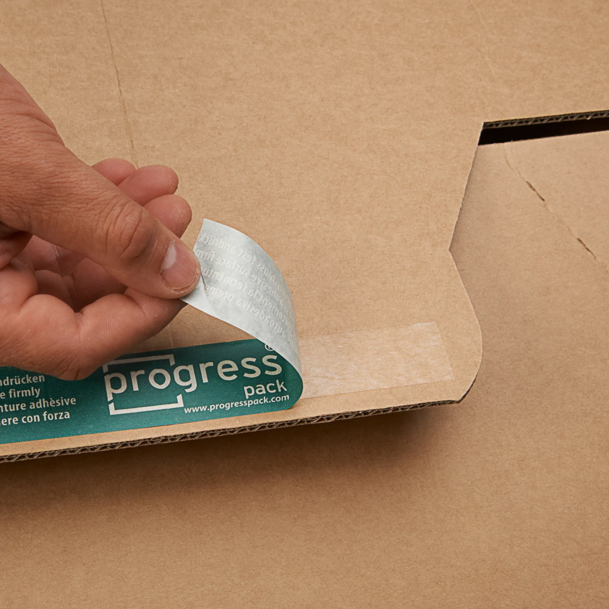Serienabbildung zur Bauform PB TB01.02 von progress packaging