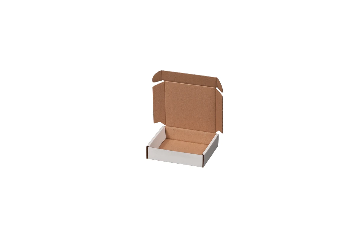 Produktabbildung zu Maxibriefkarton Gr. 1, 160x113x42mm – Ansicht 1
