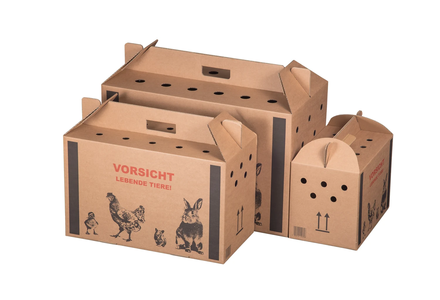 Serienabbildung zu Transportkarton "Lebende Tiere", 580x309x369mm – Ansicht 1