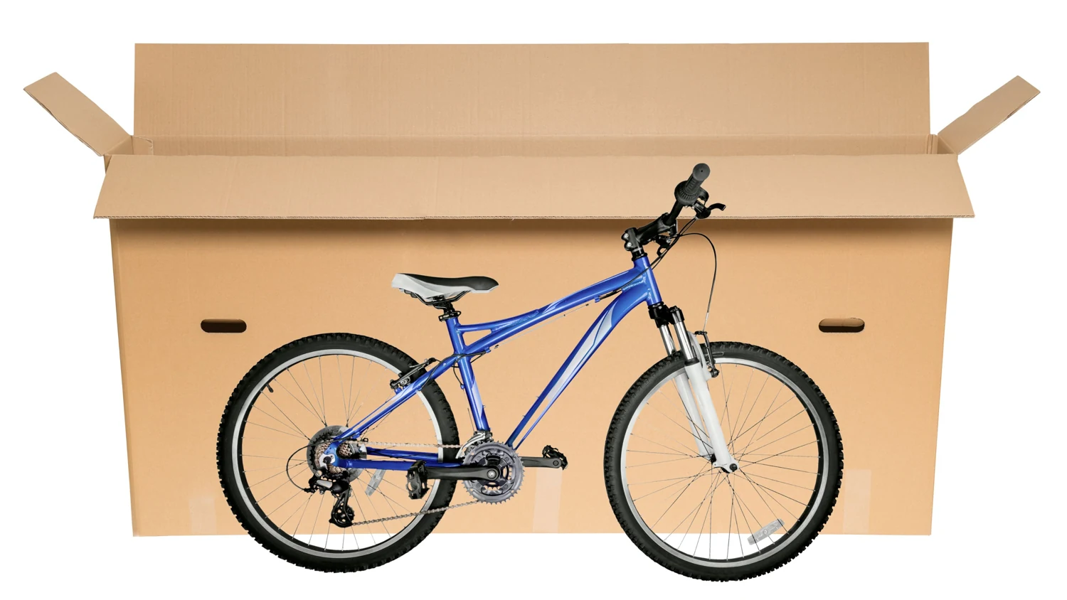 Anwendungsabbildung des Herstellers: Fahrradkarton, 1580x185x755mm